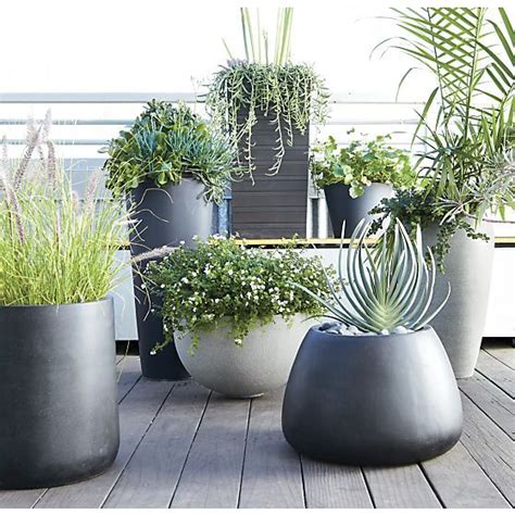 Big Black Pots For Plants Okejely Garden Plant