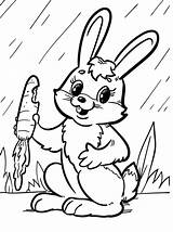 Rabbit Carrot Rabbits sketch template