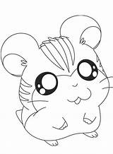 Hamster Hamtaro Preschool Hamsters Malvorlagen Peep Momjunction Penelope sketch template
