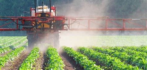 szkodliwe sor  bezpieczne stosowanie pestycydow