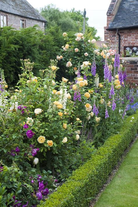 tall border  roses  snapdragons potagergarden small cottage