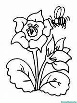 Gambar Mewarnai Lebah Kartun Mawar Contoh Putih Anak Hitam Madu Sketsa Hewan Mari Buku Menghisap Sari Kecerdasan Gelas Lukisan Belajar sketch template