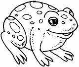Coloring Bullfrog Designlooter sketch template