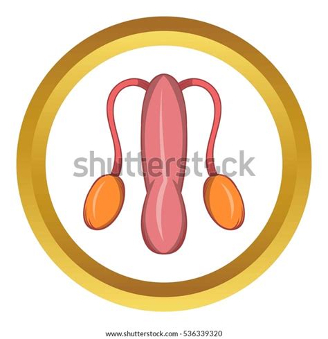 Male Sexual Organ Icon Golden Circle Stock Illustration 536339320