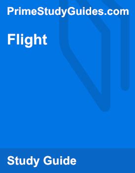 flight summary