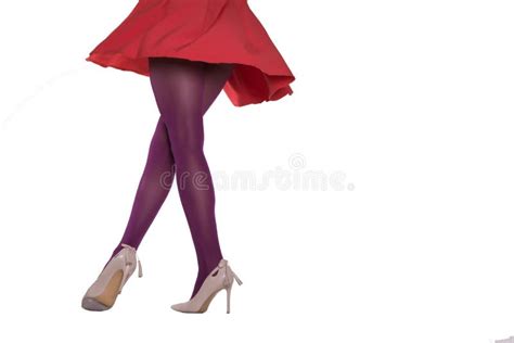 female legs in beautiful pantyhose white background stock image image