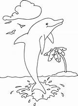 Delfin Ausmalbild Ausmalbilder Delfine Mewarnai Delphin Lumba Hai Kinderbilder Hewan Malbuch Cetacea Malvorlage Innen Oceanic Pferd Ikan Hiu Malen Buku sketch template