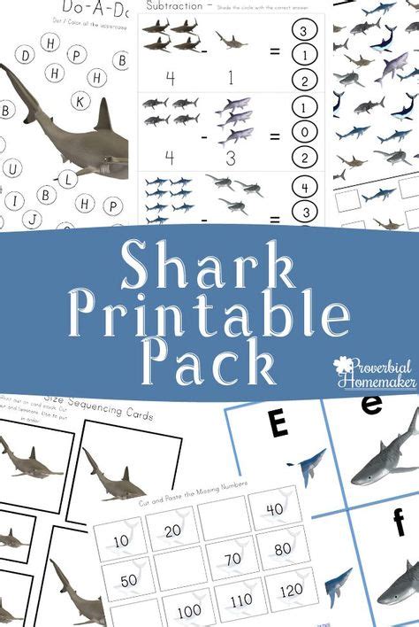 shark printable pack shark activities preschool printables