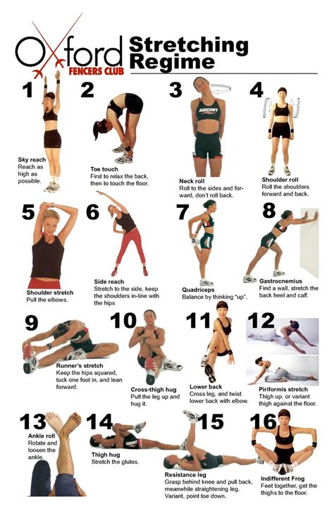 weight training stretching regime