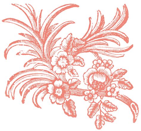 floral ornaments  graphics fairy