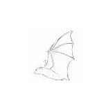 Bat Coloring Draw Central Pages sketch template