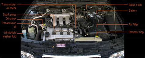 car parts diagram  hood beginner  guide  body parts   hood   car