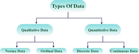 data types  statistics definition classification  faqs