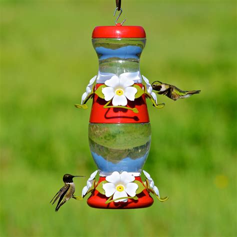 amazoncom perky pet  double decker plastic hummingbird feeder