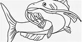 Ikan Catfish Lele Hitam Putih Budidaya Mewarnai Tawar Gabus Bagre Laut Membudidayakan Serta Hias Rebanas Colorir Kartun Konsumsi Ember Gunakan sketch template
