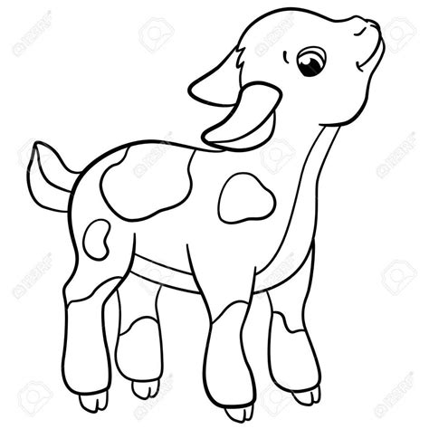 cute goat drawing    clipartmag
