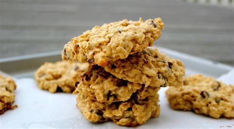low fat oatmeal cookie big teenage dicks