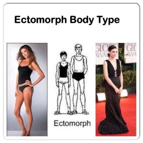 Exercise For Body Type Ecto For Me Ectomorph Body Body Types