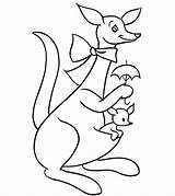 Kangaroo Australien Momjunction Ausmalbilder  Source Letzte sketch template