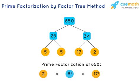 prime factorization   find prime factorization  numbers