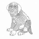 Boxer Coloring Dog Pages Getcolorings Color sketch template
