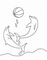 Delfin Ausmalbild Delfine Dolphins Delphin Lieblingsspiel sketch template