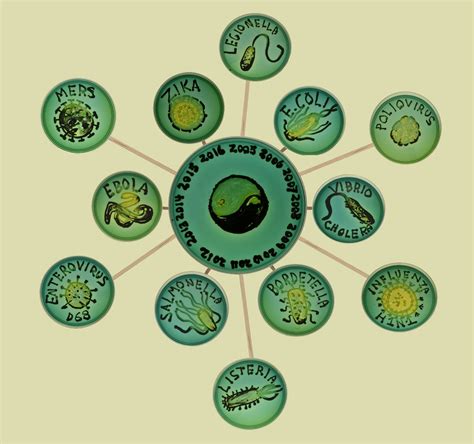 circular arrangement  green buttons   types  animals  plants