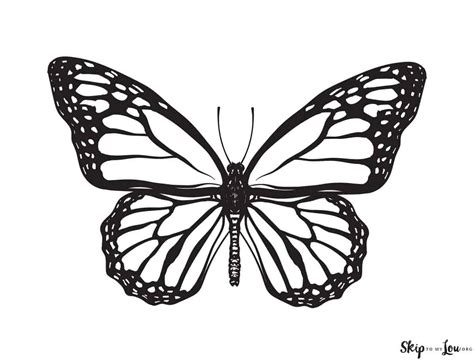 butterfly coloring page simple png onlinexanaxhzq