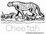 Cheetah Coloring Pages Printable Baby Cub Drawing Running Easy Print Animal Adults Clipart Color Realistic Cubs Getdrawings Getcolorings Animals Wild sketch template
