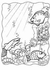 Meereswelt Ozean Unterwassertiere Colouring sketch template