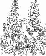 Garden Coloring Pages Flower Fairy Rose Printable Color Mockingbird Getcolorings Fairies Print Flowe sketch template
