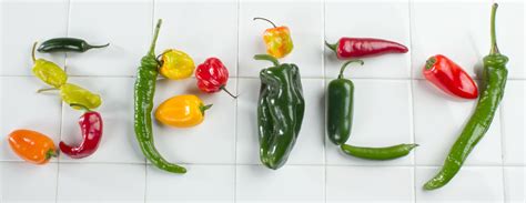 types  chili peppers
