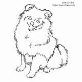 Pomeranian Dog Coloring Pages Color Puppy Drawing Line Own Sheets Kids Patterns Pom Index Sketch Visit Children Choose Board sketch template