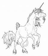 Horse Rearing Drawing Paintingvalley Coloring sketch template