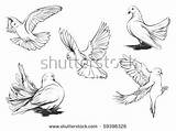 Bunkhouse Doves sketch template