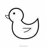 Pato Colorare Duck Anatra Disegni Ultracoloringpages Desenhar Ducks Iconfinder sketch template