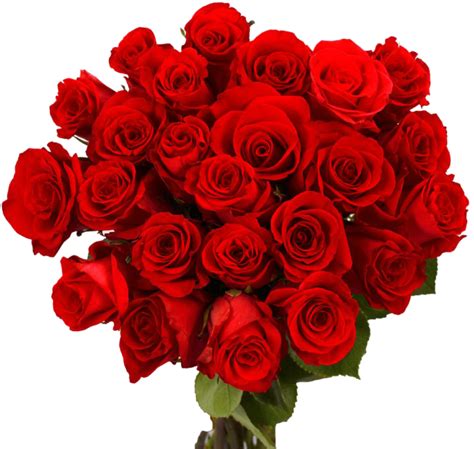valentine day flower png download image 36 red roses