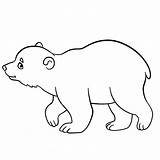 Bear Coloring Baby Cute Pages Polar Drawing Little Getdrawings Kids Printable sketch template