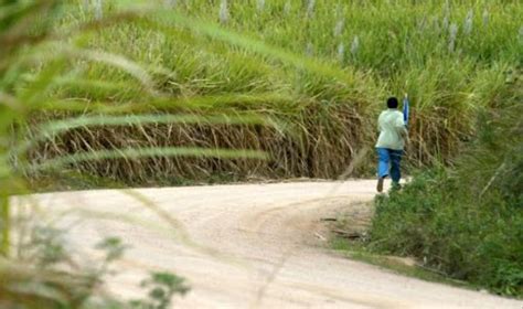 How Sugar Cane Murder Suspect Was Caught