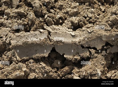 loamy soil  res stock photography  images alamy