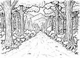 Forest Nature Coloring Printable Pages Color Drawing Kb Drawings sketch template