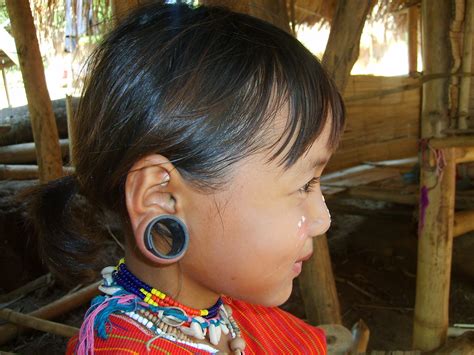 beautiful stretched ears galacticcitizen flickr