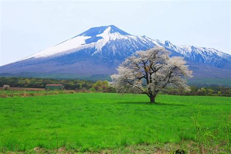 la naturaleza