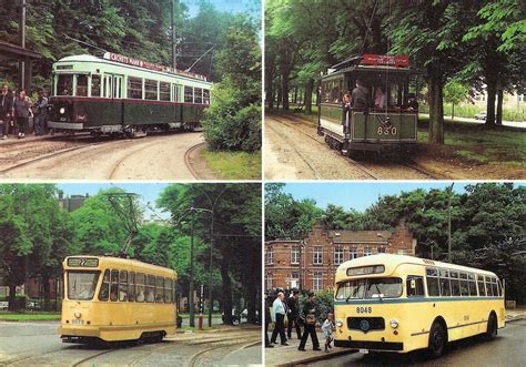 transpress nz belgium trams and bus
