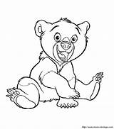 Ours Koda Orso Fratello Heureux Oso Frere Imprimer Pupung Hermano sketch template