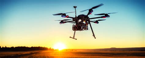 drones bother bears  triggering heart attacks discovery blog discovery