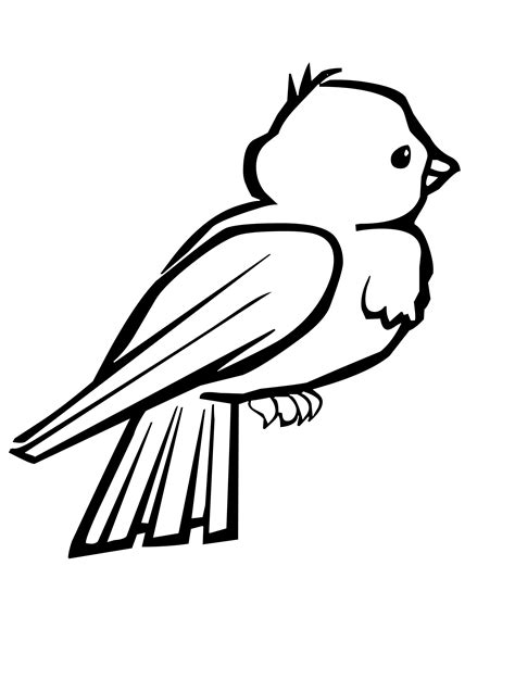bird feather coloring page