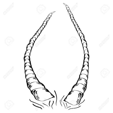horns clipart clipground