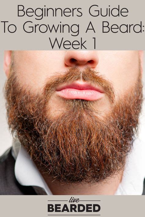 how to grow a full beard fast 1st time tips grow beard growing a