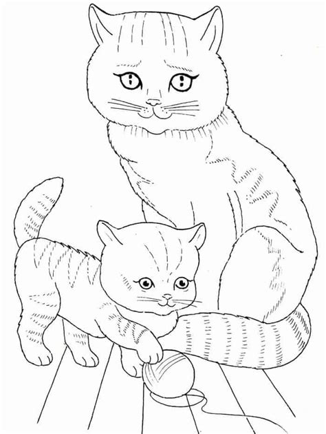 realistic kitten  cat coloring pages kittens coloring puppy